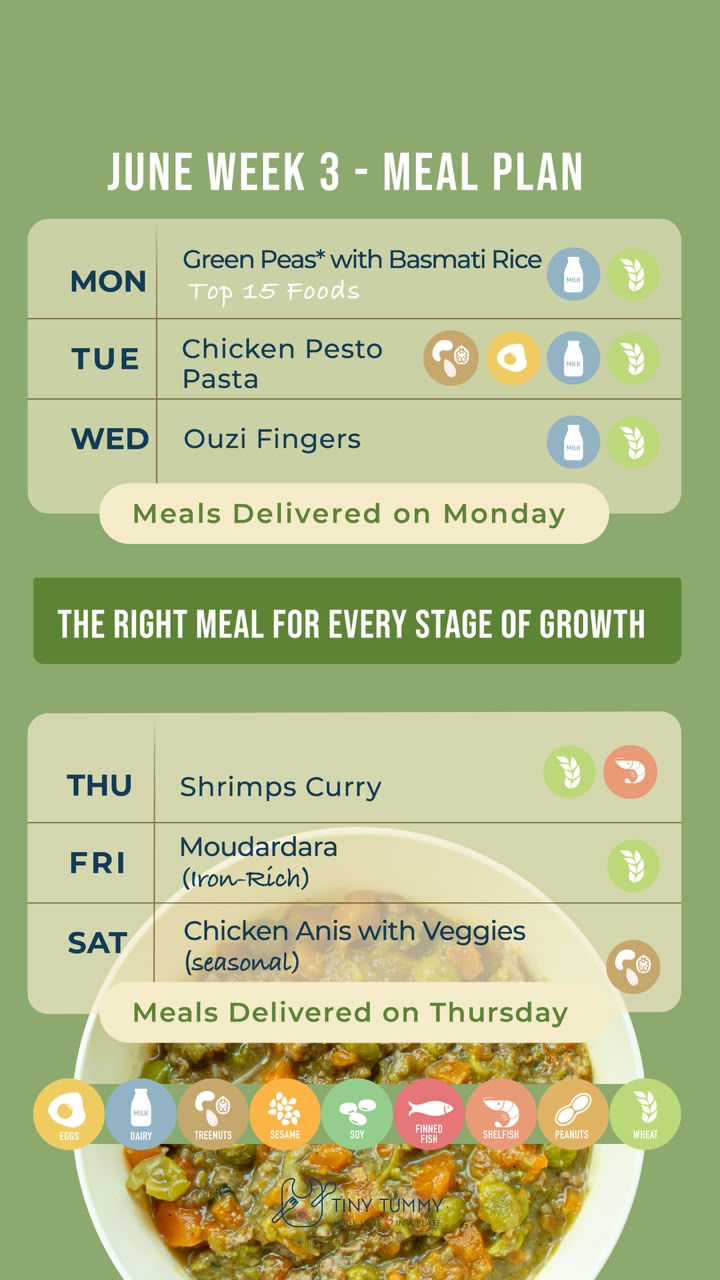 Weekly Plan