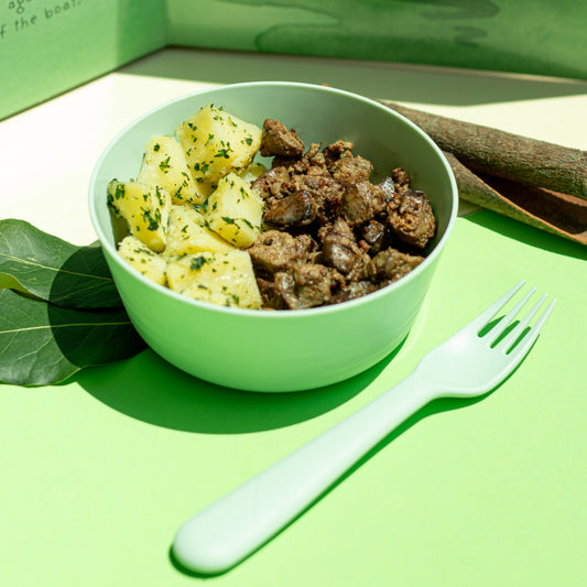 A light green bowl containing cooked meat and potato chunks, placed on a bright green surface with a matching light green plastic fork. A printed booklet or card with a boat illustration is visible in the background.