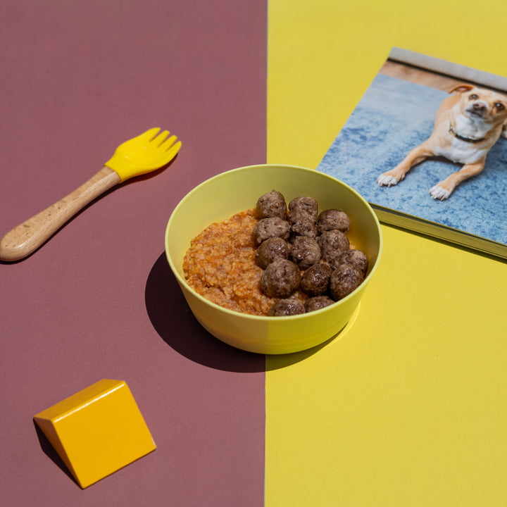 A styled flat-lay featuring a yellow bowl filled with brown kibble and orange food, a yellow-handled utensil, a small yellow block, and a magazine or book with a dog photo, all arranged on a split maroon and yellow background.