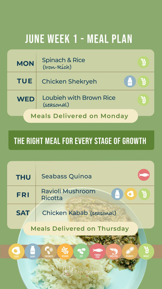 Weekly Plan