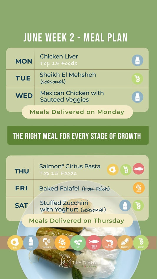 Weekly Plan